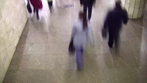 Walking . Time lapse. — Stock Video