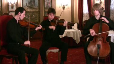 kemancı ve violoncellist