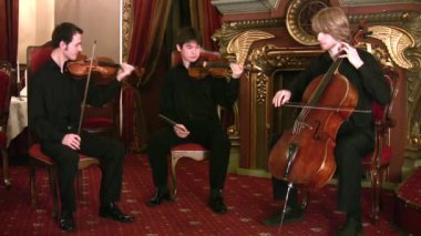 kemancı ve violoncellist