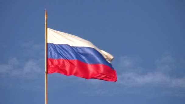 Russische Flagge — Stockvideo