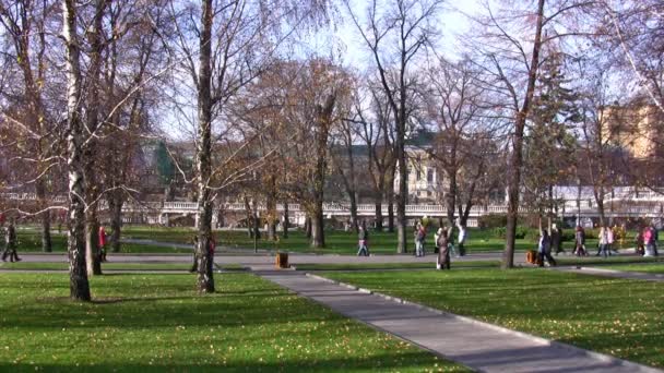 En Aleksandrovsky Garden — Vídeos de Stock