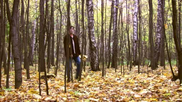 Man in autumnal wood — Stock Video