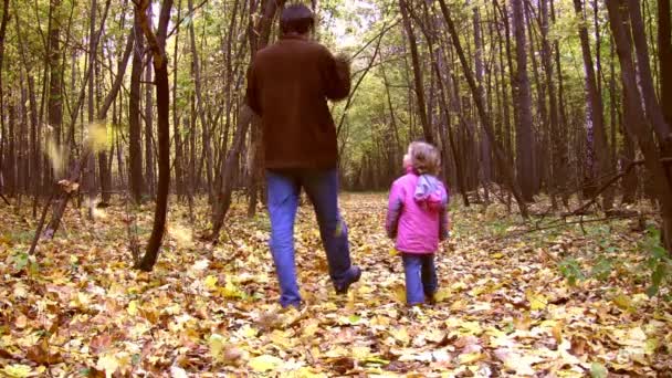 Küçük kız sonbahar Park ile yürüyen baba — Stok video