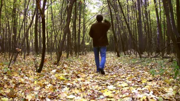 L'homme jette des feuilles dans le bois automnal — Video