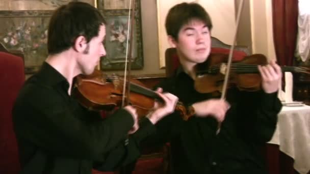 Violinistas y violonchelistas. Panorama — Vídeo de stock