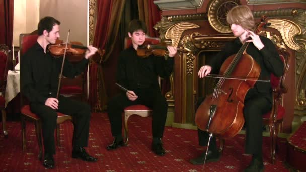 Violinists and violoncellist — Stock Video