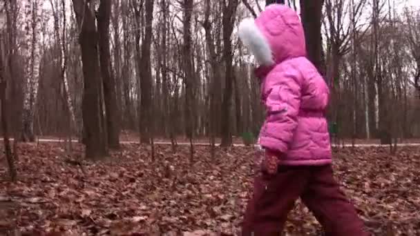 Walking little girl in winter park — Stock Video