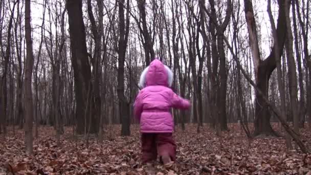Hinter spazierendem Vater und kleinem Mädchen im Winterpark — Stockvideo