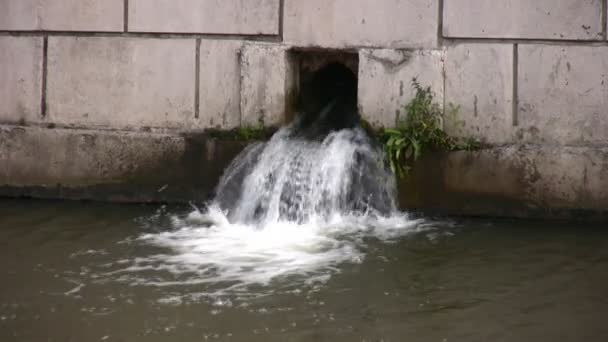 Escurrir agua — Vídeos de Stock