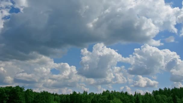 Wolken über dem Wald. Zeitraffer. — Stockvideo