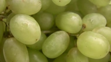 üzüm yeşil meyveler döner