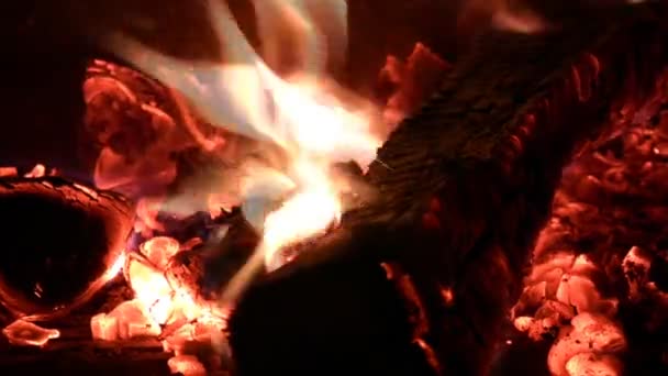 Burning fire firewood and coal in stove — Stock Video