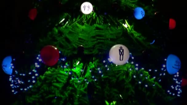 ボールと緑のモミの木 — ストック動画