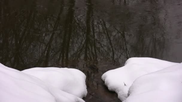 El arroyo fluye entre la nieve en el río — Vídeos de Stock