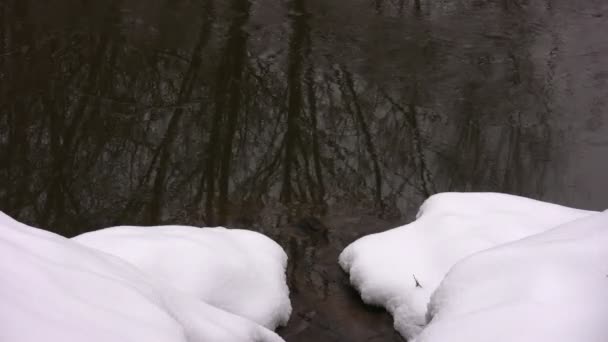 Ruisseau coule entre la neige dans la rivière — Video