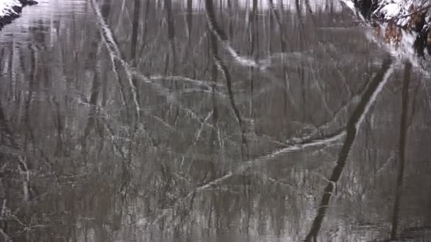 Reflexión en madera de invierno de agua — Vídeos de Stock