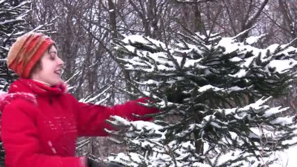 Mujer y árbol de pelo en la nieve — Vídeos de Stock