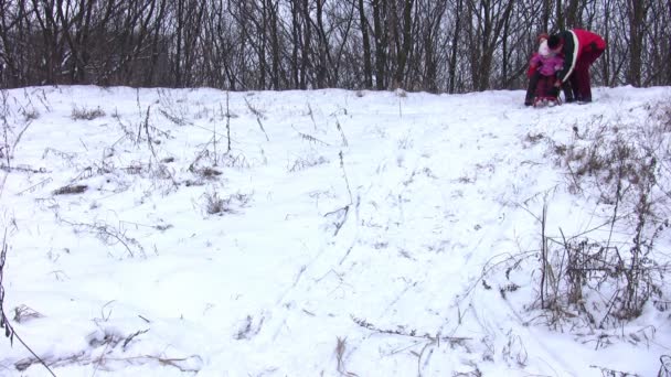 Little girl with sled — Stock Video