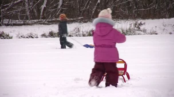 Children with sleds — Stock Video