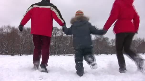 Dietro la famiglia in esecuzione con figlio sul laghetto invernale — Video Stock