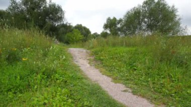 erkek ve kız çocuk park, kamera için çalışan eller katılın