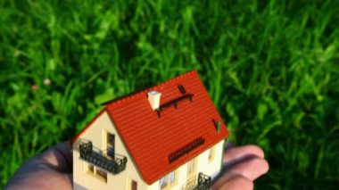 palm yeşil çim zemin üzerinde oyuncak ev