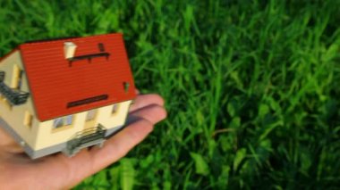 palm yeşil çim zemin üzerinde oyuncak ev