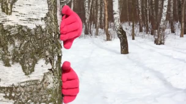 Hands in red glove knocks on stem tree — Stock Video