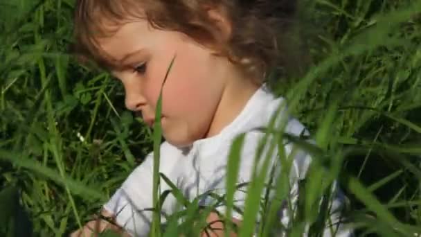 Fille jouer dans l'herbe et sourire — Video