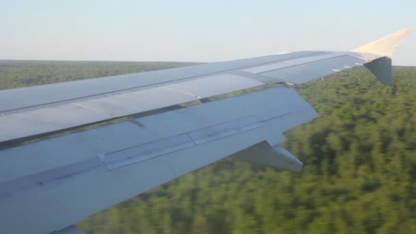 Wing of the plane during a landing — Stock Video