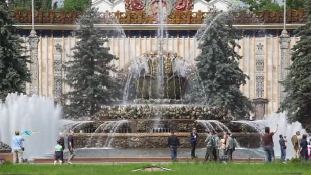 Moskau - 7. Juni: Brunnen "Steinblume" auf dem allrussischen Ausstellungszentrum 7. Juni 2009 in moskau, russland. Das Expozentrum wird 1939 offiziell eröffnet. — Stockvideo