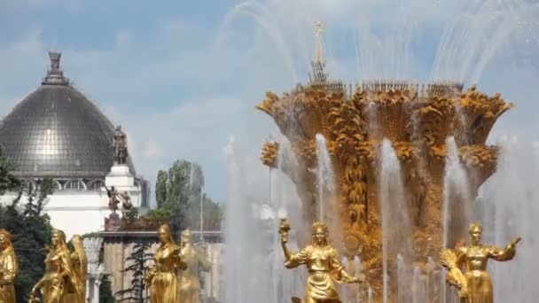 喷泉在全俄罗斯展览中心友谊、 关门，从顶部底部 — 图库视频影像