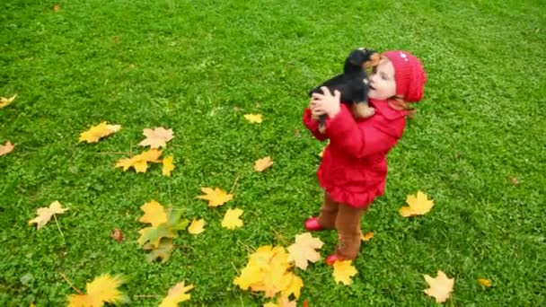 Liten flicka kastar upp leksak hund utomhus — Stockvideo