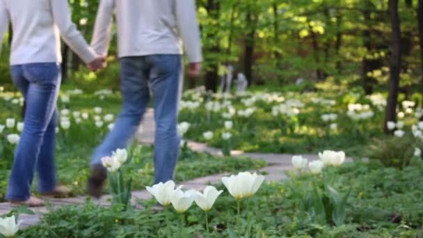 Couple marchant dans le parc verdoyant au milieu des tulipes — Video