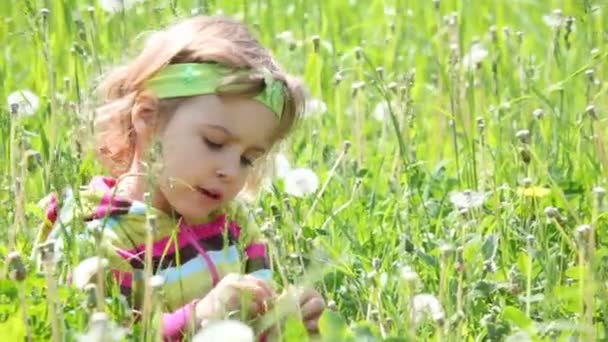 Маленькая девочка, сидящая на траве в зеленом поле, смотрит направо — стоковое видео