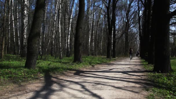 Niño va en bicicleta hacia en camino forestal en primavera — Vídeos de Stock