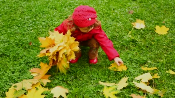 Küçük kız toplamak sonbahar Park'ta yapraklar — Stok video