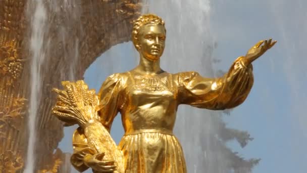 Звезда дружбы фонтанов во Всероссийском выставочном центре — стоковое видео