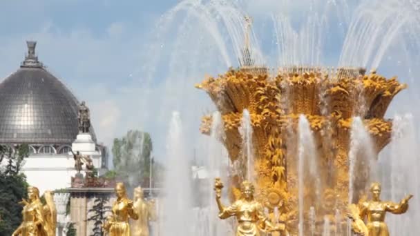 Haut de l'amitié fontaine au parc des expositions de toute la Russie, gros plan — Video