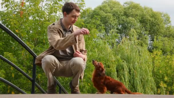 Человек кормит собаку в парке — стоковое видео