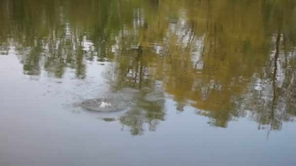 Marques de pli après que la roche tombe dans l'eau — Video