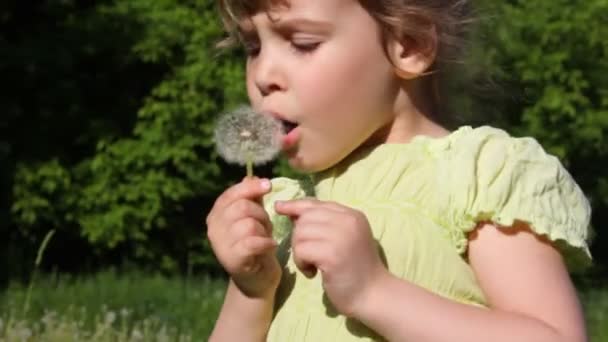 女の子は牧草地に花を吹く — ストック動画