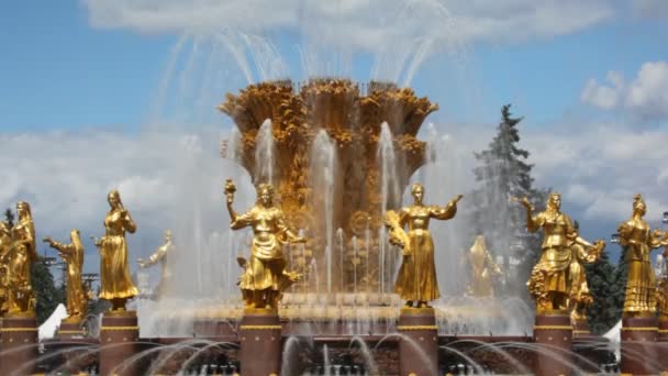 Fountain friendship at All-Russia Exhibition Centre, close up — Stock Video