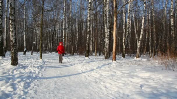 Kvinna i röd kappa promenader i skogen vinter — Stockvideo