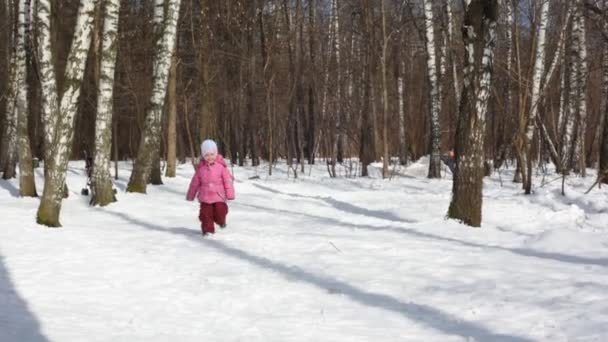 Kleines Mädchen läuft im Wald — Stockvideo