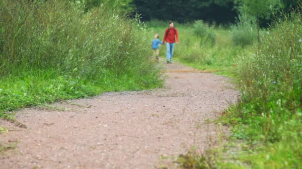 Vader en zoon wandelen in het park, join handen, camera — Stockvideo