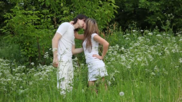 Young man and girl kissing and holding hands on meadow — Stock Video