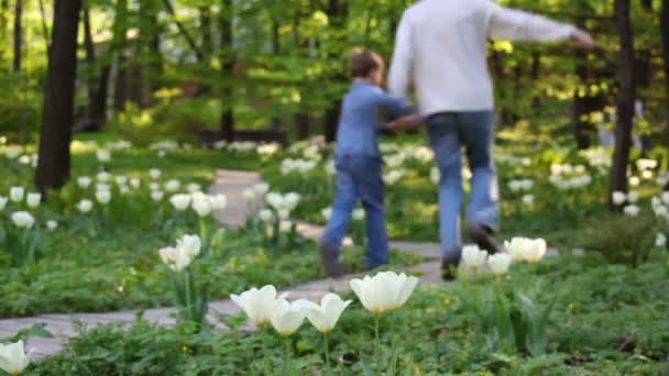 Батько і дитина бігають через парк — стокове відео