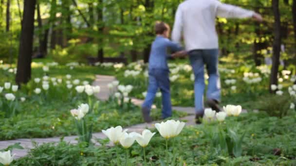 Vater und Kind rennen durch den Park — Stockvideo