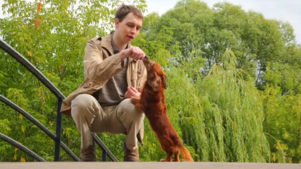 Człowiek karmienia psa w parku — Wideo stockowe